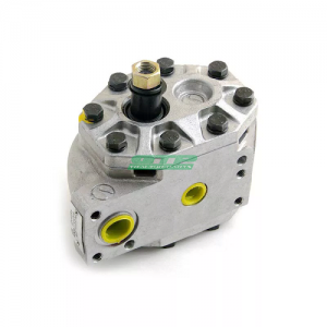 308873A1 Hydraulic Gear Pump For Case